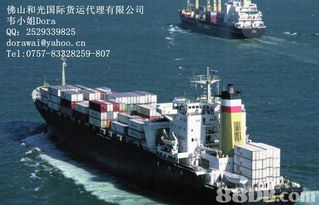 国际海运 佛山国际货代 佛山仓库 佛山货运,国际海运 佛山国际货代 佛山仓库 佛山货运生产厂家,国际海运 佛山国际货代 佛山仓库 佛山货运价格
