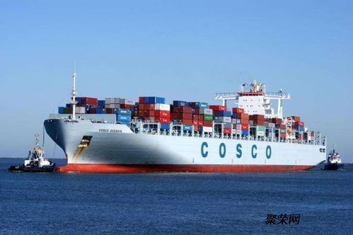 泰国榴莲龙眼海运进口到中国专线 国际物流找欧恒